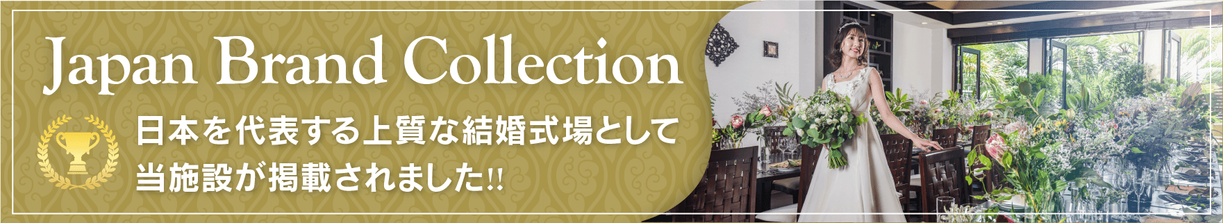 関連情報ページへ